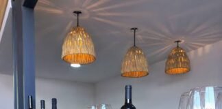 Viñedo “Tierra y Almas” un santuario enogastroturístico que despierta los sentidos