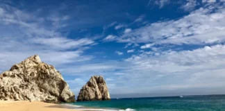 Alerta Cofepris sobre playas no aptas para vacacionar en Semana Santa