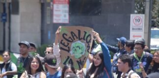 Día de la Marihuana ¿habrá siembra masiva mexiquense este 4/20?