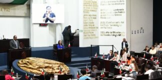 Congreso de Hidalgo aprueba reforma que sancionan el maltrato animal
