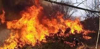 Incendio forestal en la región Tula-Tepeji consume alrededor de 39 hectáreas