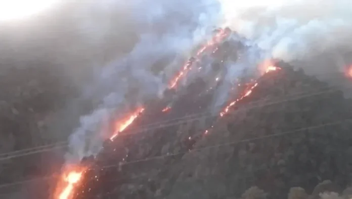 incendio-forestal
