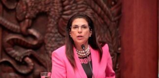 Marcela Guerra llama a la OEA y CELAC a sesionar por conflicto México-Ecuador