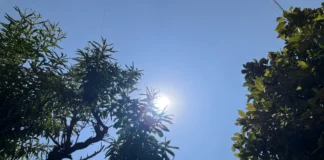 Ola de calor extrema para México con 16 estados a más de 40 grados