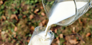 Un vasito de leche fría: La opción más efectiva que el agua para hidratarse