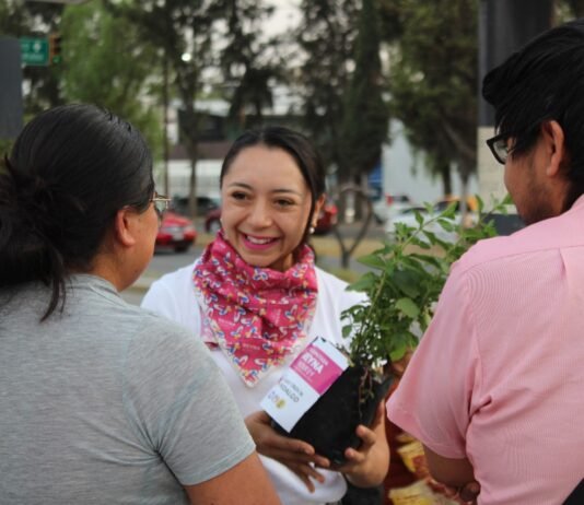 Inicia Reyna Monroy, reforestación con plantas de maguey para sanar a Tula