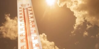 Hidalgo se verá afectado por la Canícula este 2024
