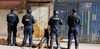 SSPH decomisa más de 4 mil dosis de droga en San Cayetano, Pachuca