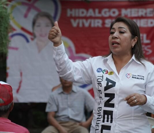 Utilizan a jefes políticos para subir en la elección: Anel Torres