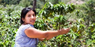 Comisión de Agricultura promueve diálogo entre productores e instancias gubernamentales