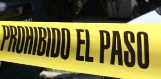 En Tepeapulco descubren a una jauría devorando restos humanos