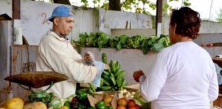 Inflación en México se acelera llegando a 4,65% anual