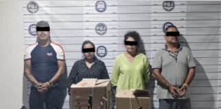 Rescatan a 25 animales destinados a rituales de santería en Nezahualcóyotl