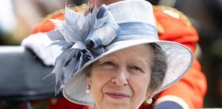 Tras accidente la Princesa Ana de Inglaterra sufre de amnesia