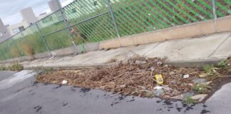 Tizayuca recoge 4 toneladas de basura semanales,de la vía publica