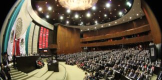 Plurinominales afines a partidos y a las campañas aseguran una curul en San Lázaro