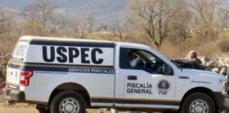 Hallan 5 cuerpos calcinados en carretera de Michoacán