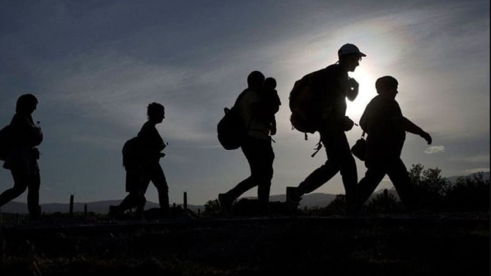 Captura de pantalla 2024-06-13 a la(s) 11.15.02