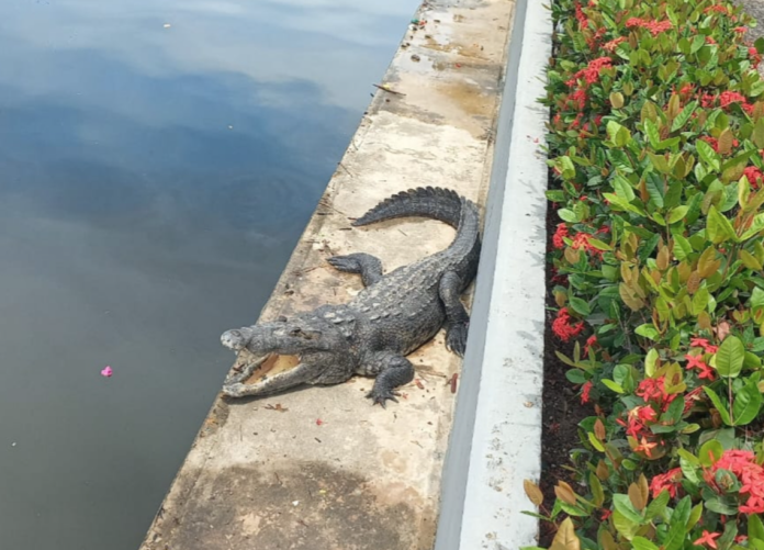 Captura de pantalla 2024-06-24 a la(s) 15.32.15