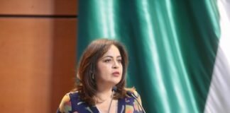 Diputada del PRI urge al gobierno a actuar ante crisis de incendios forestales