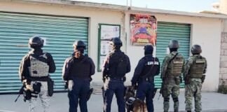 SSPH decomisa 483 dosis de droga en Tepeji del Río