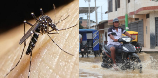 Muertes por dengue en México aumentan en medio de la temporada de huracanes