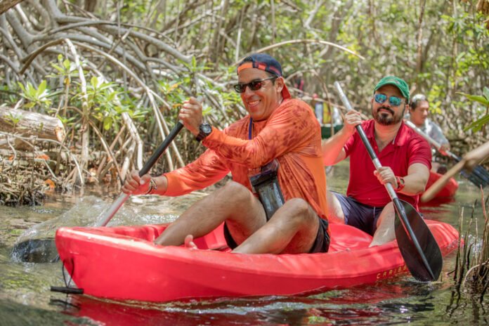 Túnel-de-manglar1