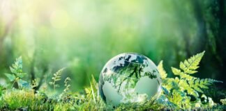 Realizan Foro sobre Finanzas Verdes en CDMX