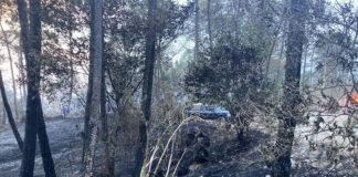 PC reporta controlado el incendio forestal en el Cerro de Ajacaya