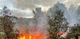 Incendio forestal en Zacualtipán obliga a desalojar familias