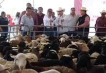 Chilcuautla recibe apoyos para el desarrollo del campo