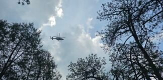 Inician primera etapa de reforestación “Esferas de Vida”