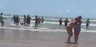 Tiburón ataca a dos bañistas en Isla del Padre en Texas