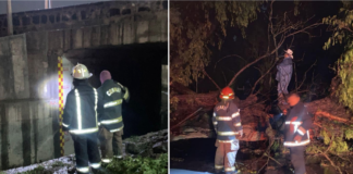 Lluvias deja árboles caídos en Tula, Protección Civil atiende colonias afectadas