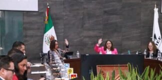 Nuevos partidos políticos recibirán más de un millón de pesos para operar en 2024