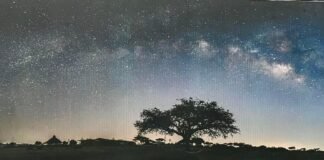 Primer Parque Internacional Cielo Oscuro de México en Hidalgo