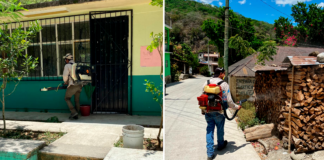 Dengue sigue al alza en Hidalgo, ya son 226 casos en la entidad