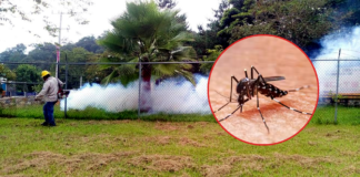 Casos de dengue en Hidalgo, SSH invita a ejercer medidas de prevención