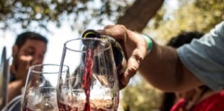 Vive la Fiesta de las Vendimias de la Ruta del Vino