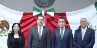 Bancada de PVEM quiere presidir comisión de medio ambiente