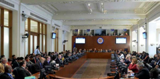 OEA llama a la paz y reconciliación en Venezuela, condena represión y violencia