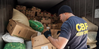 Encuentran más de 1500 kilos de metanfetamina camuflada en cargamento de lechuga