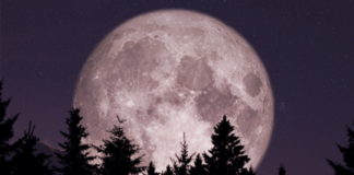 Inicia la temporada de superlunas 2024, conoce la fecha de cada una