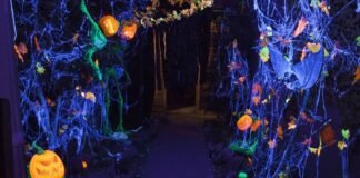 Preparan ‘noches de terror’ en el Zoológico de Tulancingo