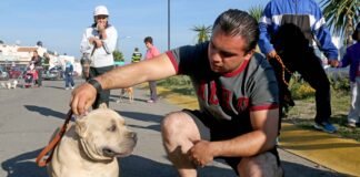 Más de 2 mil personas han sufrido mordeduras de animales en Hidalgo