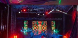 Plastilina Mosh y más de 20 artistas invadirán Pachuca en el Festival la Freakz 2024