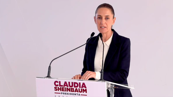 shein palacio