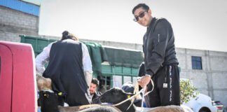 Anuncian feria regional de Desarrollo Rural en UTEC Tulancingo