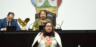 Va Congreso por “castigos perros” contra el maltrato animal