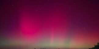 ¿Las viste? Así iluminaron el norte de México las auroras boreales